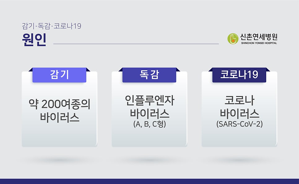 230120_코로나19,_독감,_감기_차이-01.jpg