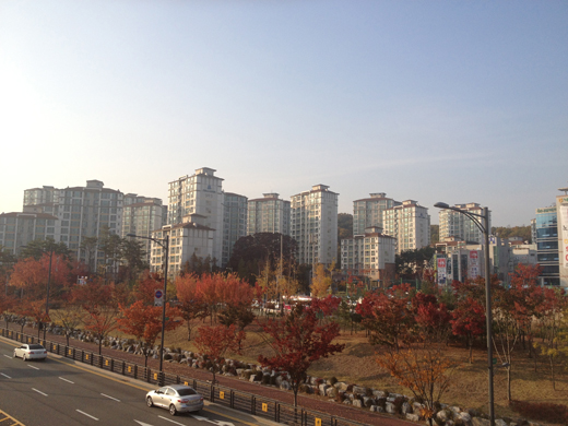 2013110619330556704_2.jpg