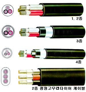 image3.jpg