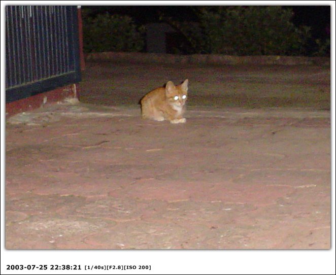 DSC00265.jpg