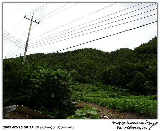 P7257936.jpg