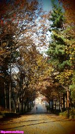 16-9a.jpg